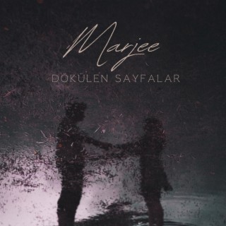 dökülen sayfalar