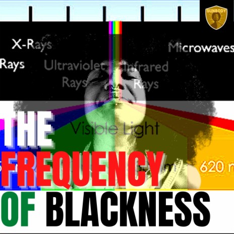 THE FREQUENCY OF BLACKNESS (BLACK CHICAGO ANTHOLOGY VOL 102)