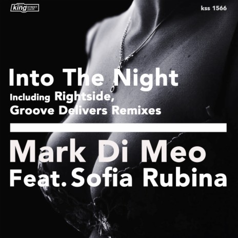 Into The Night ft. Sofia Rubina | Boomplay Music