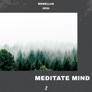 Meditate Mind Vol. 2
