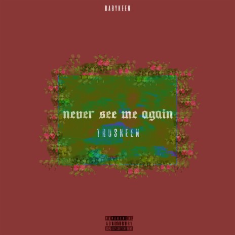 Never See Me Again | Boomplay Music
