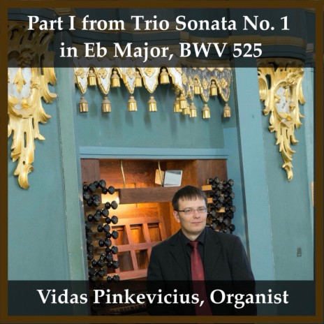 Part I from Trio Sonata No. 1 in Eb Major, BWV 525 | Boomplay Music