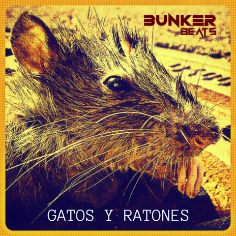 Gatos y Ratones | Boomplay Music