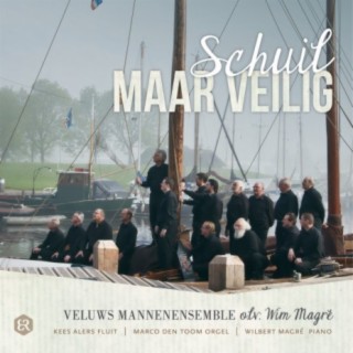 Veluws Mannenensemble