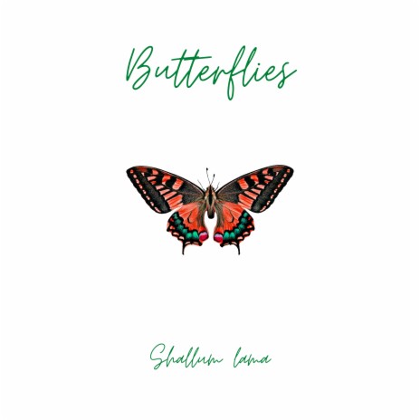 Butterflies | Boomplay Music