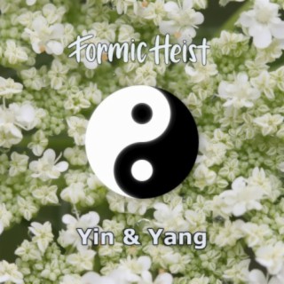 Yin & Yang