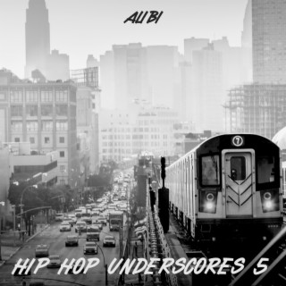 Hip Hop Underscores, Vol. 5