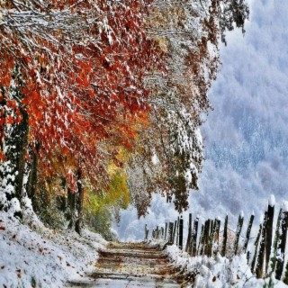 Snowing in Fall
