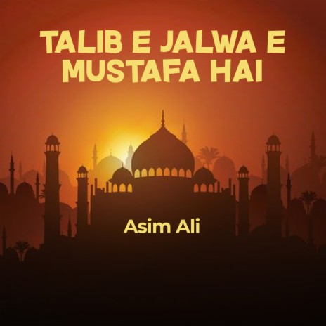 Talib e Jalwa e Mustafa Hai | Boomplay Music