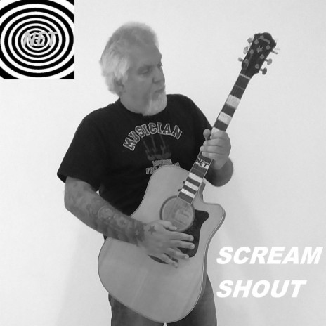 Scream Shout Acoustic Guitar Solo