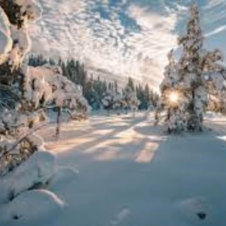 Wandering in a Winter Wonderland