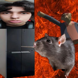 Refridgerator Sex with Rats (From Sex Feat Ned)