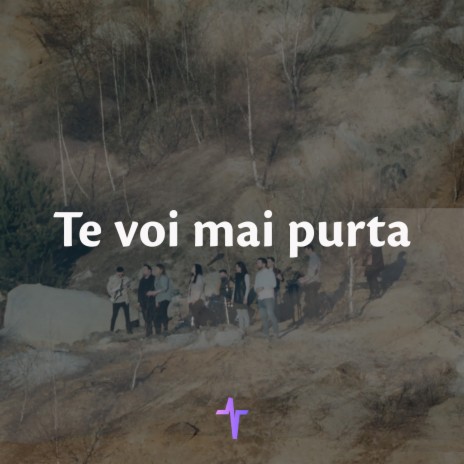 Te voi mai purta | Boomplay Music