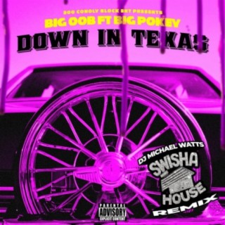 Down N Texas (feat. Big Pokey & Michael Watts)