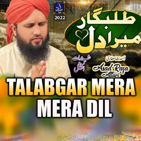 Talabgar Mera Dil | Boomplay Music