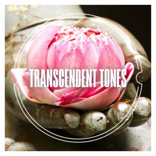 Transcendent Tones: A Zen Buddhist Meditation Journey for Relaxation, Healing, and Inner Peace