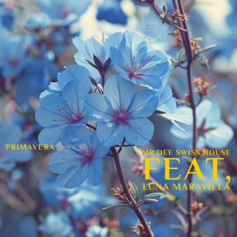 Primavera (Luna Maravilla Version) ft. Luna Maravilla | Boomplay Music