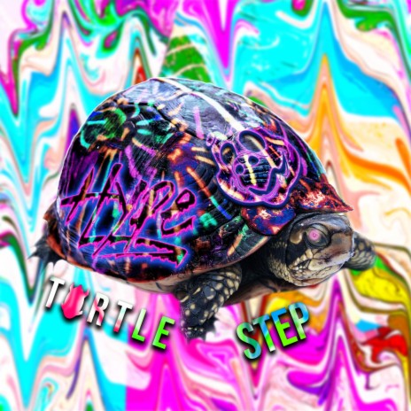 Turtle Step | Boomplay Music