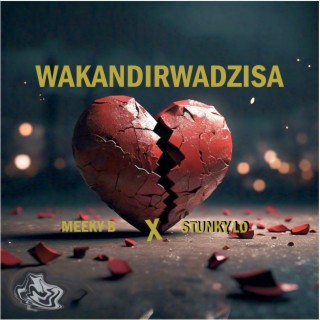 Wakandirwadzisa