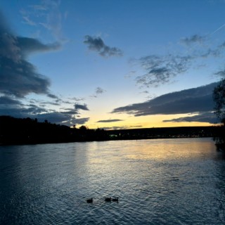 Good Times by the River