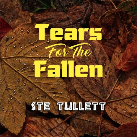 Tears For The Fallen | Boomplay Music