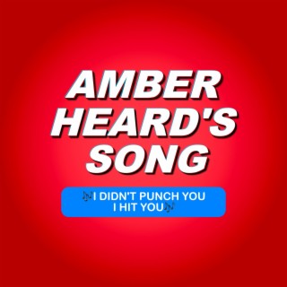 Amber Heard's Song (I Didn't Punch You I Hit You)