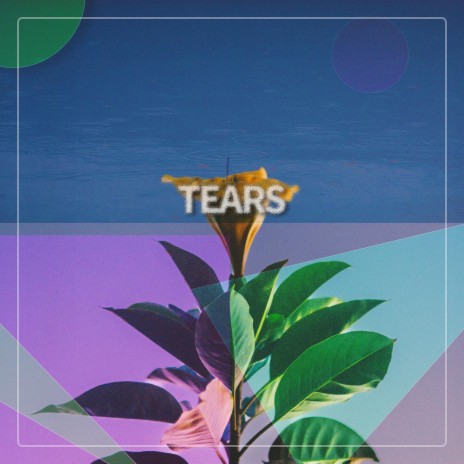 Tears | Boomplay Music