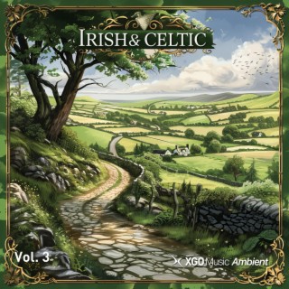 Irish & Celtic Relaxing Instrumental Music, Vol. 3