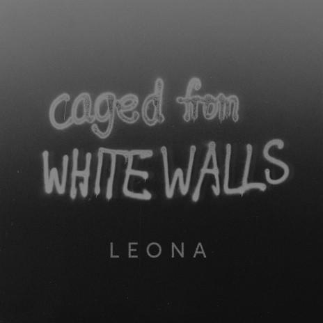white walls | Boomplay Music