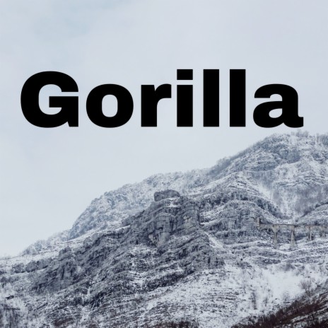 Gorilla