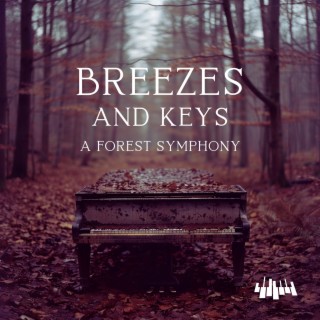 Breezes and Keys: a Forest Symphony