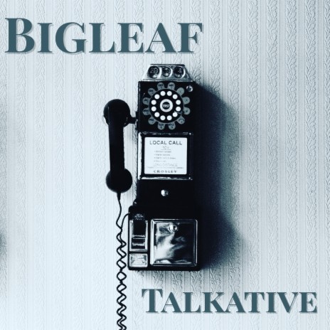 Mr Talkative | Boomplay Music