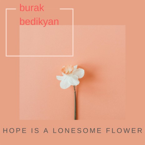 Hope is a Lonesome Flower | Boomplay Music