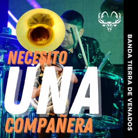 Necesito una compañera | Boomplay Music