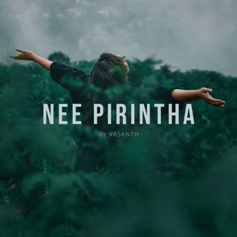 Nee Pirintha (Radio Edit)