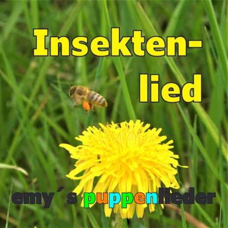 Insektenlied