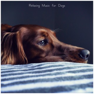 Relaxing Music for Dogs