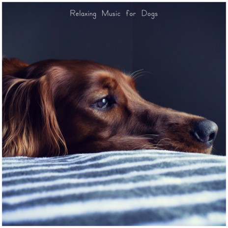 Distant Memory ft. Calming for Dogs & Soothing Dog Sounds