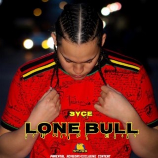 Lone Bull