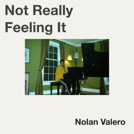Not Really Feeling It | Boomplay Music