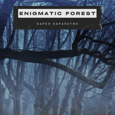 Enigmatic Forest