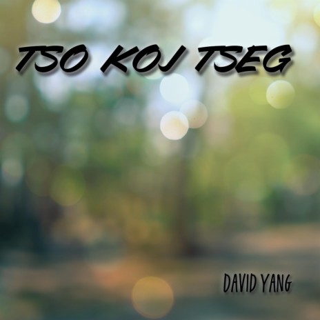 Tso Koj Tseg | Boomplay Music