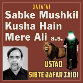 Sabke Mushkil Kusha Hain Mere Ali a.s.