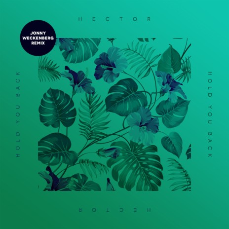 Hold You Back (Jonny Weckenberg Remix) | Boomplay Music