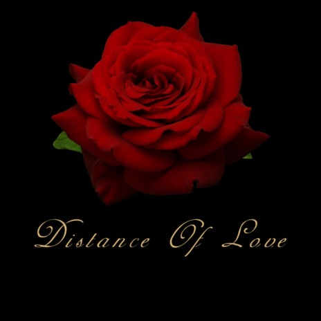 Distance of Love