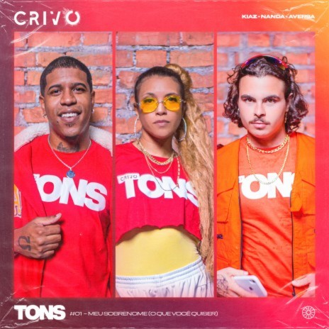 Tons #1 - Meu Sobrenome (O Que Você Quiser) [feat. CRIVO] | Boomplay Music