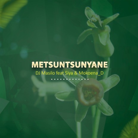 Metsuntsunyane ft. Siya & Mokoena_D | Boomplay Music