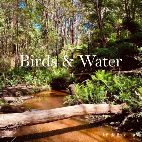 Birds & Water