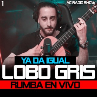 Ya Da Igual|Lobo Gris (Radio Edit)