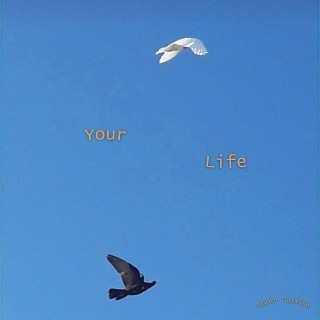 Your Life